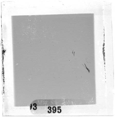 Scan PZT3395