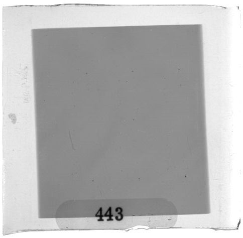 Scan PZT3443