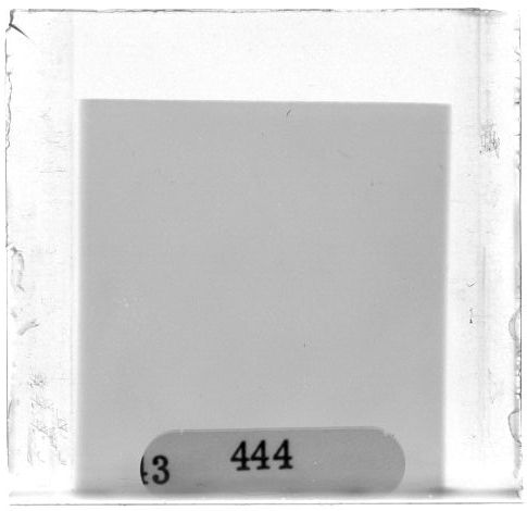 Scan PZT3444
