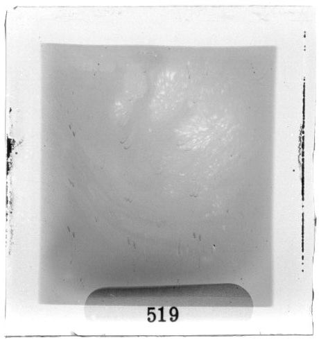 Scan PZT3519
