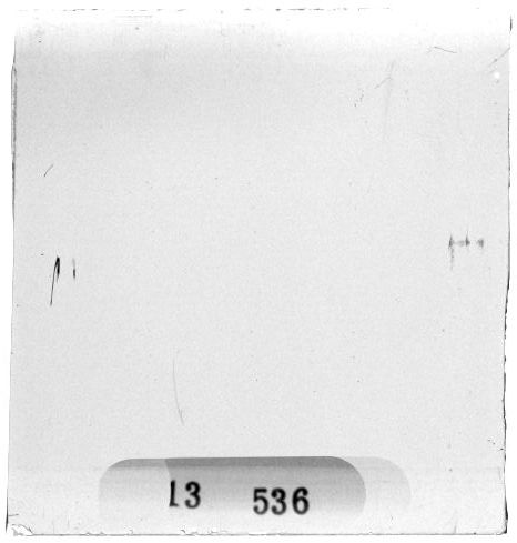 Scan PZT3536