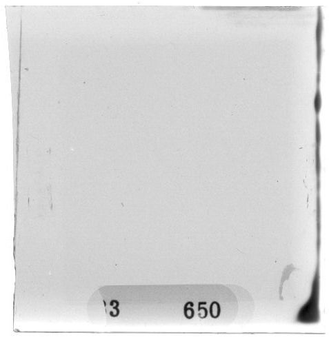 Scan PZT3650
