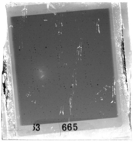 Scan PZT3665