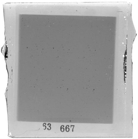 Scan PZT3667
