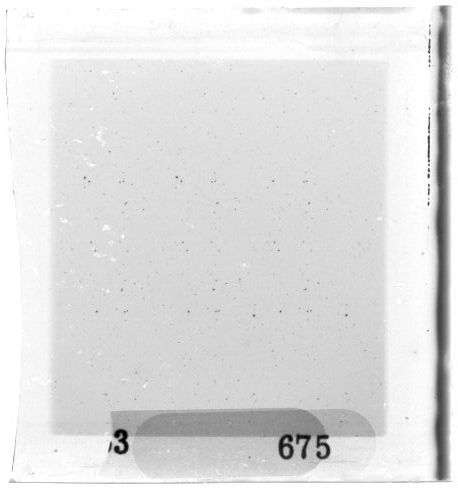 Scan PZT3675