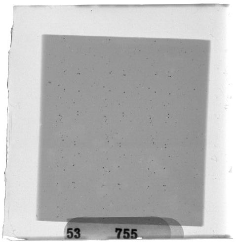 Scan PZT3755
