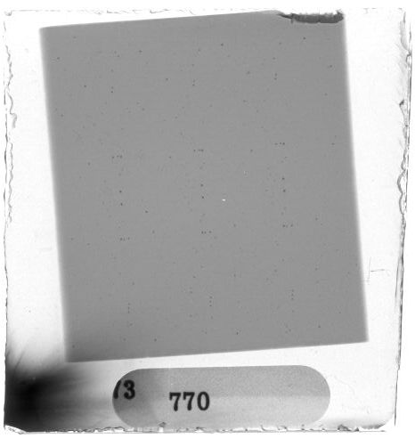 Scan PZT3770