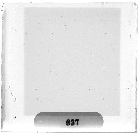 Scan PZT3837