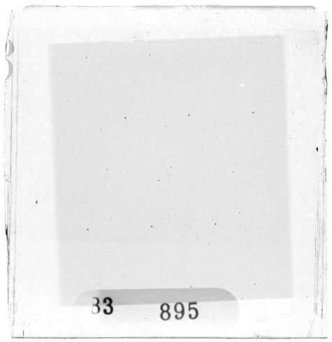 Scan PZT3895