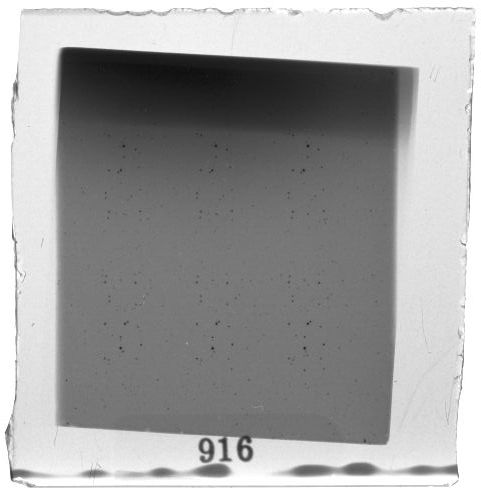 Scan PZT3916