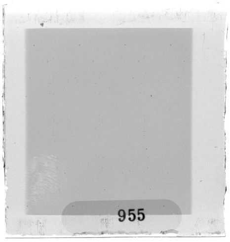 Scan PZT3955
