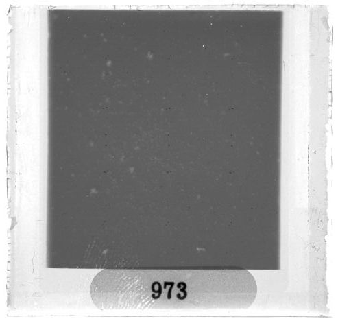 Scan PZT3973