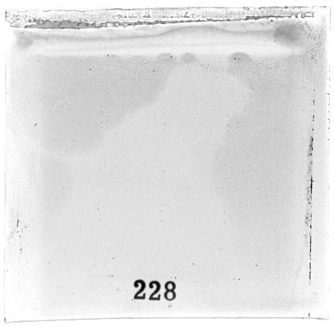 Scan PZT4228
