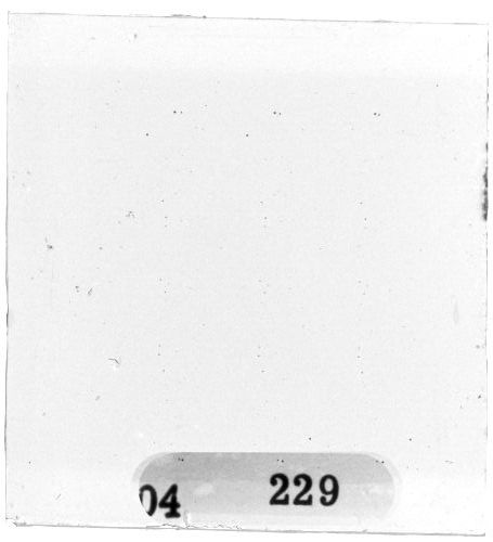Scan PZT4229