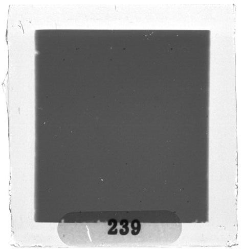 Scan PZT4239