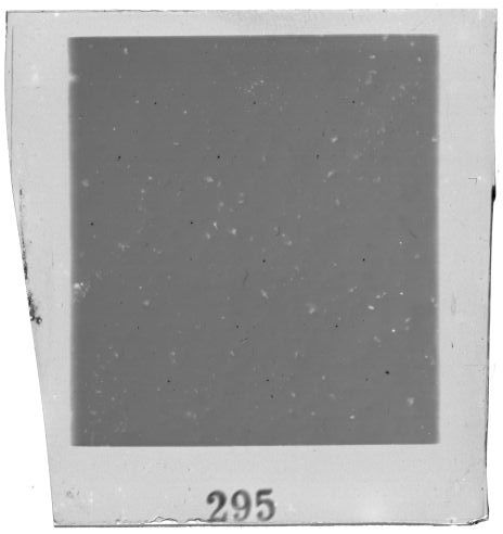 Scan PZT4295