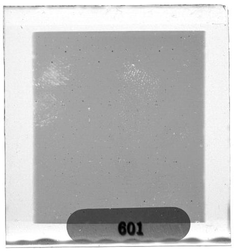 Scan PZT4601