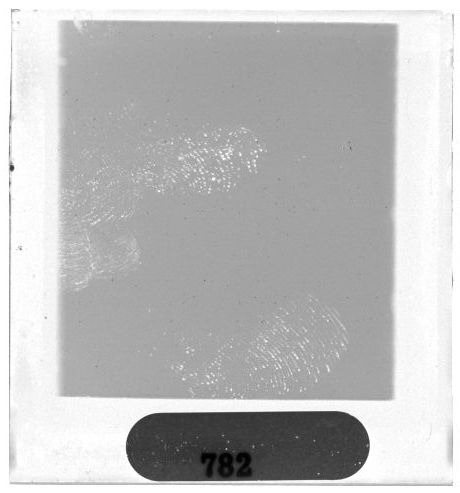 Scan PZT4782