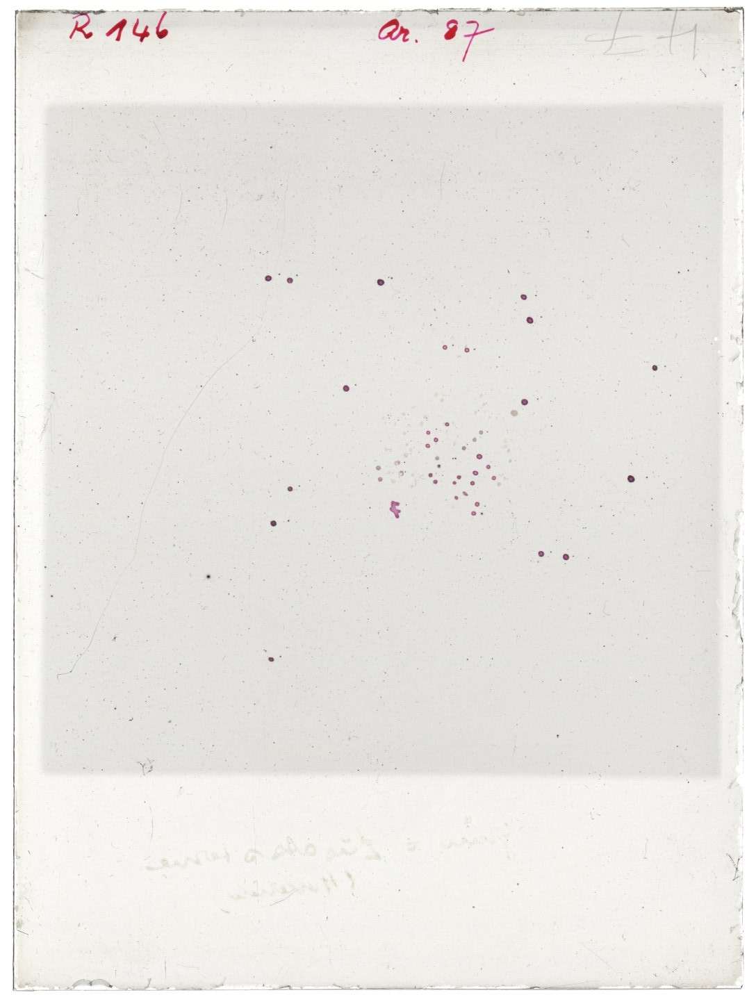 Scan RK00146