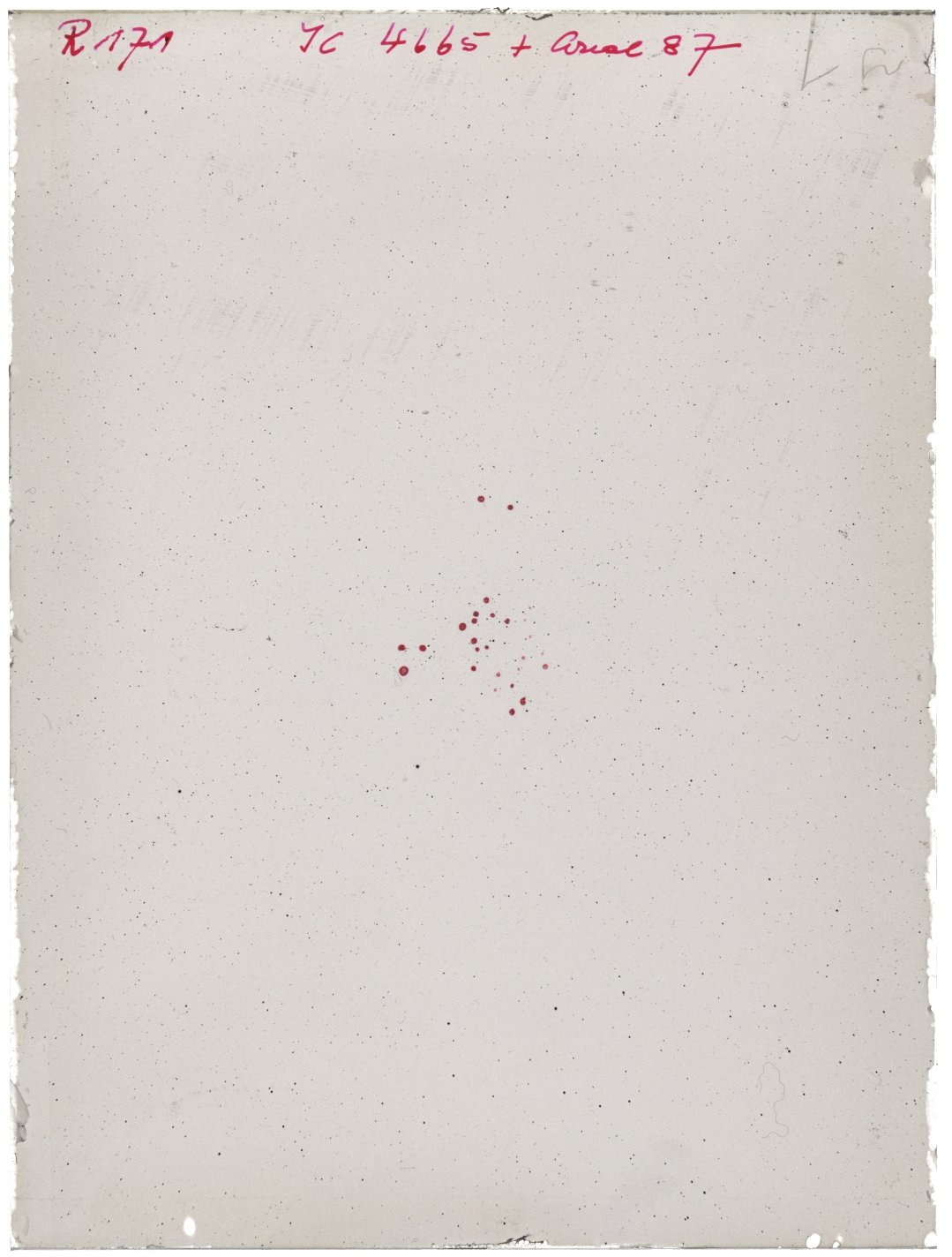 Scan RK00171