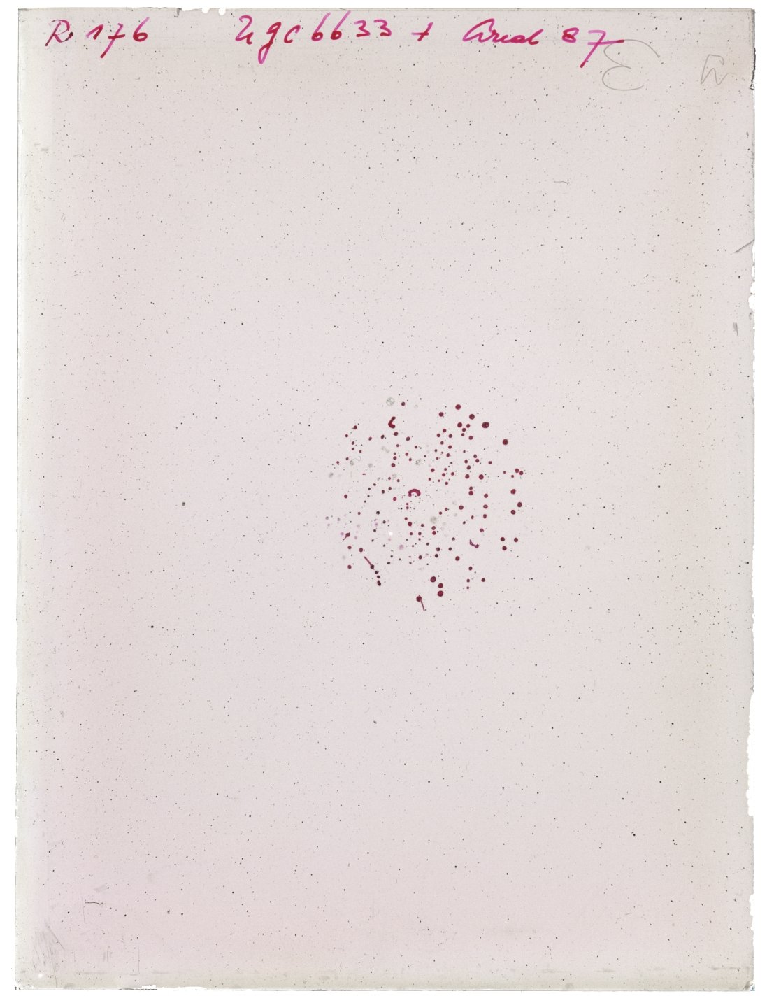 Scan RK00176