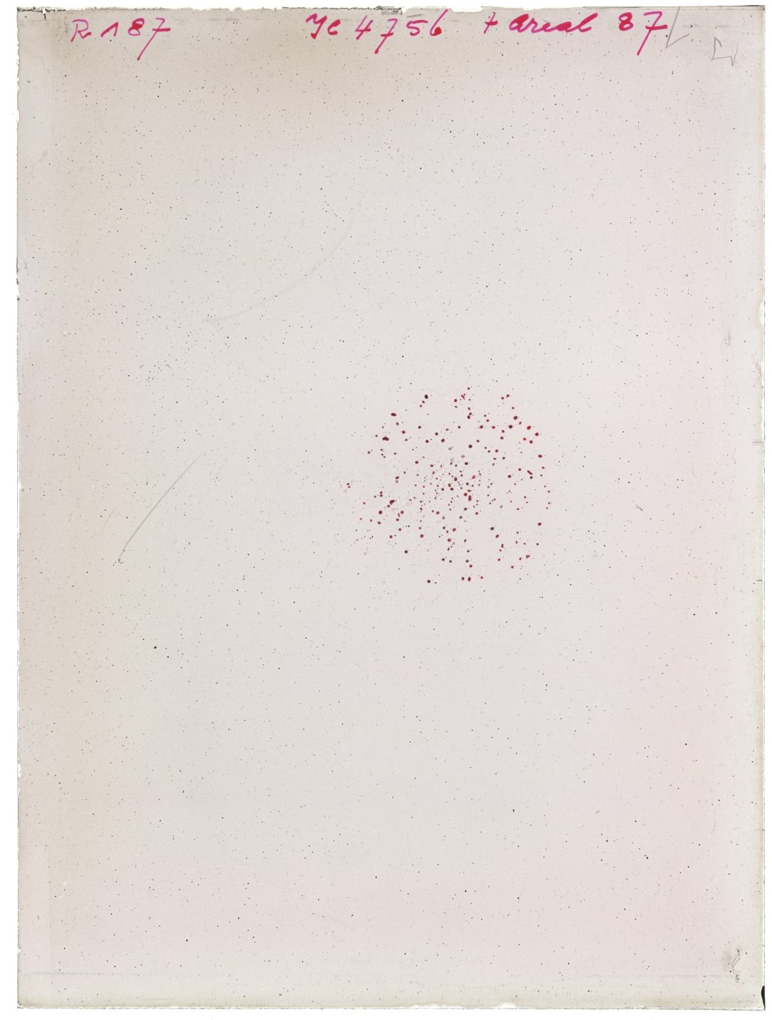 Scan RK00187