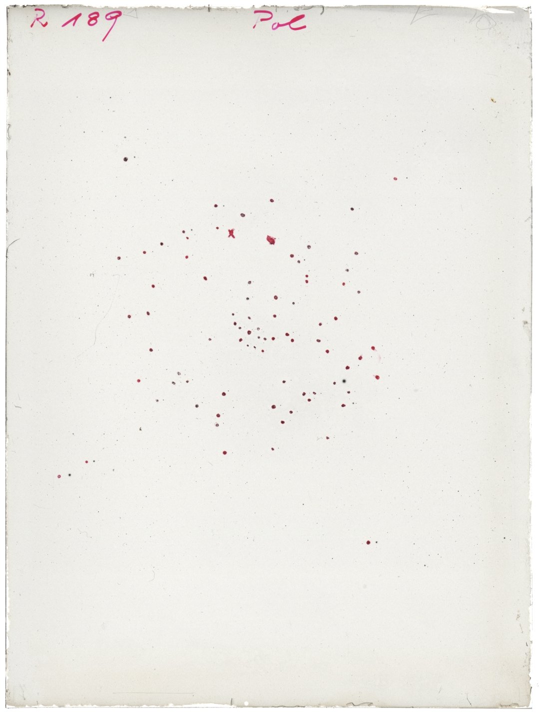 Scan RK00189