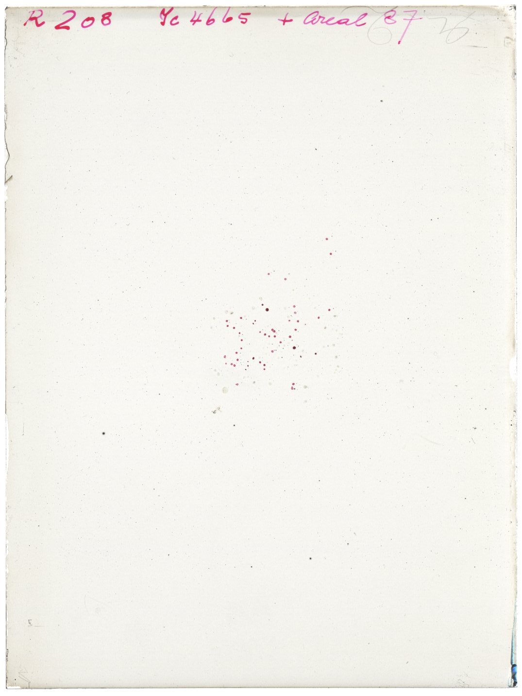 Scan RK00208