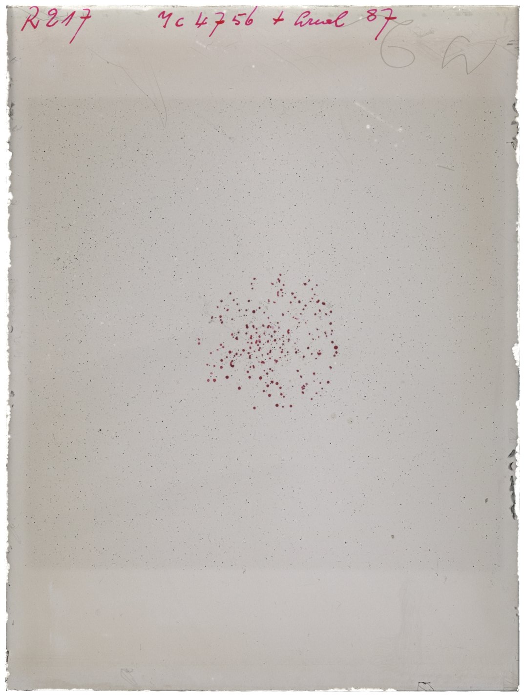Scan RK00217