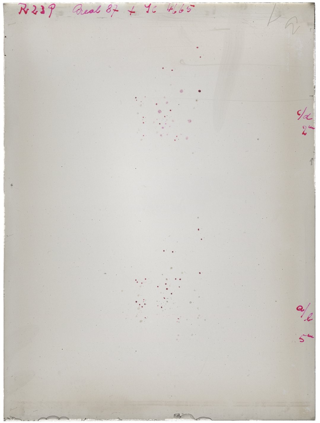 Scan RK00239