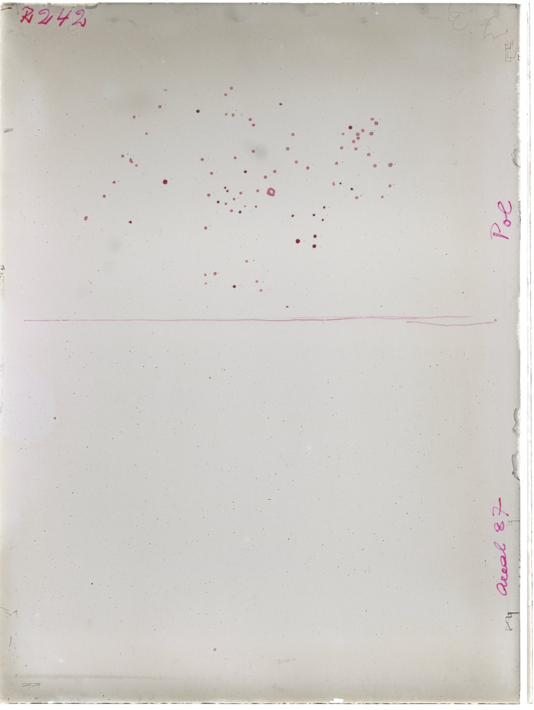 Scan RK00242