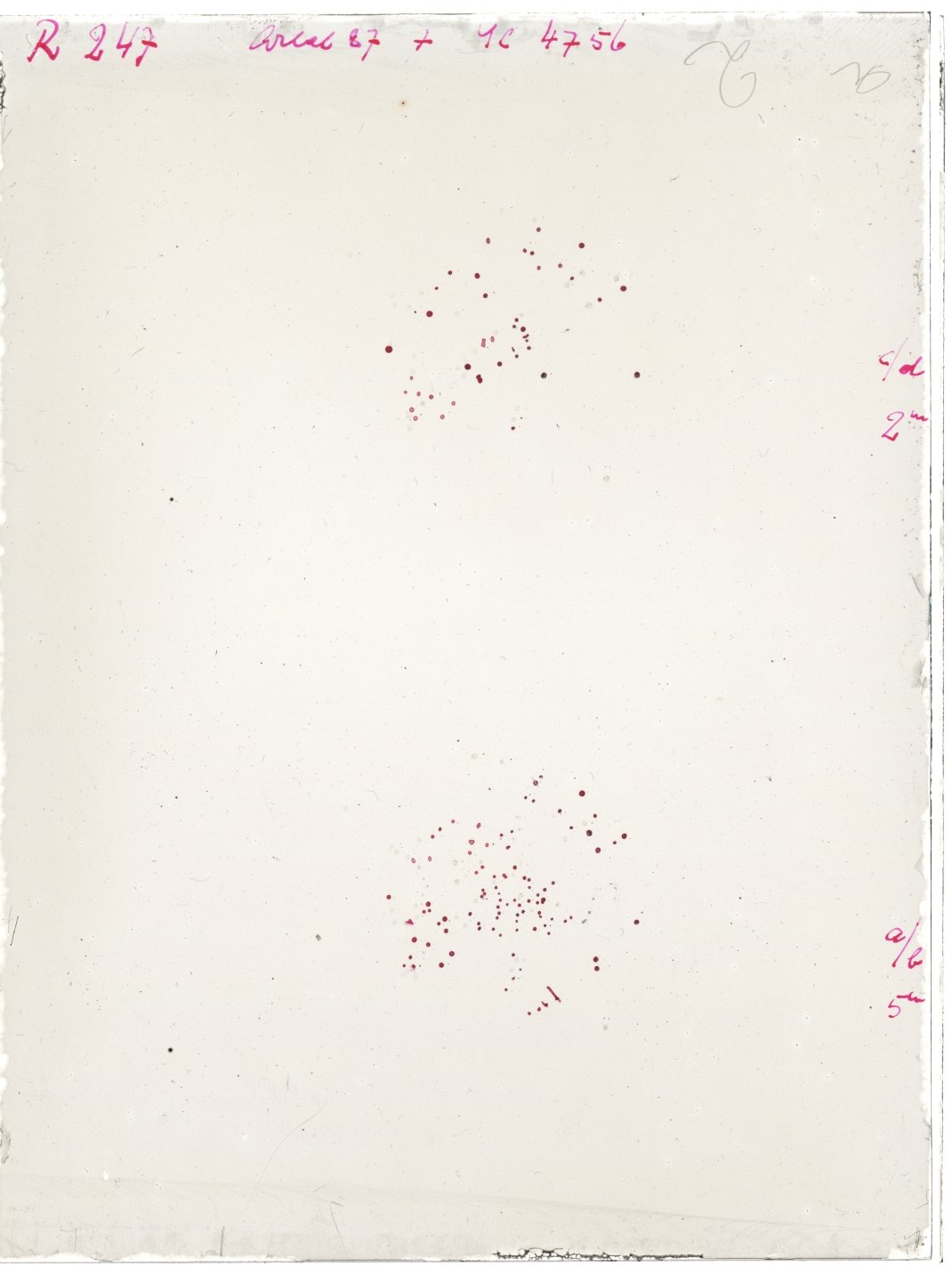 Scan RK00247