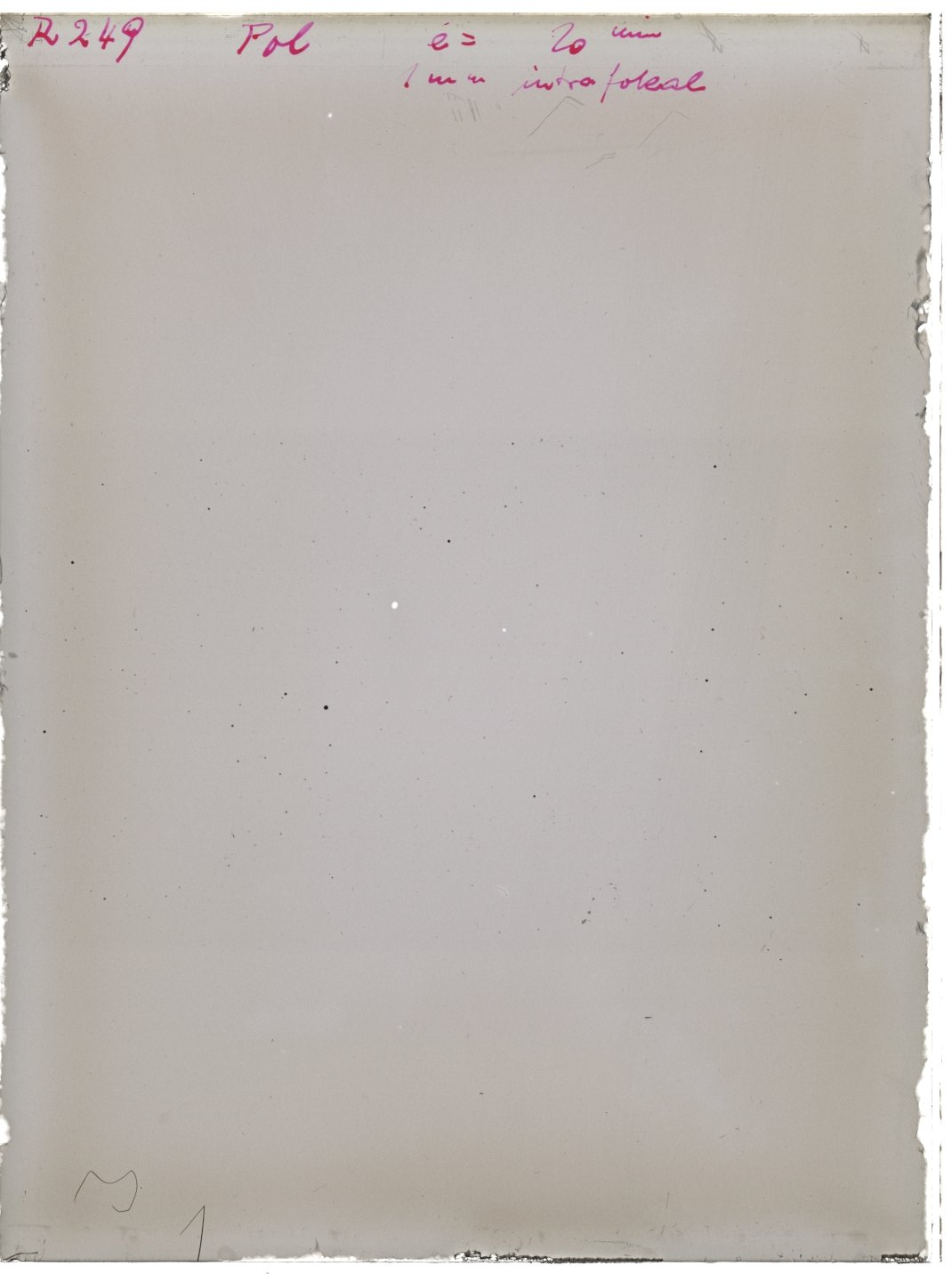 Scan RK00249