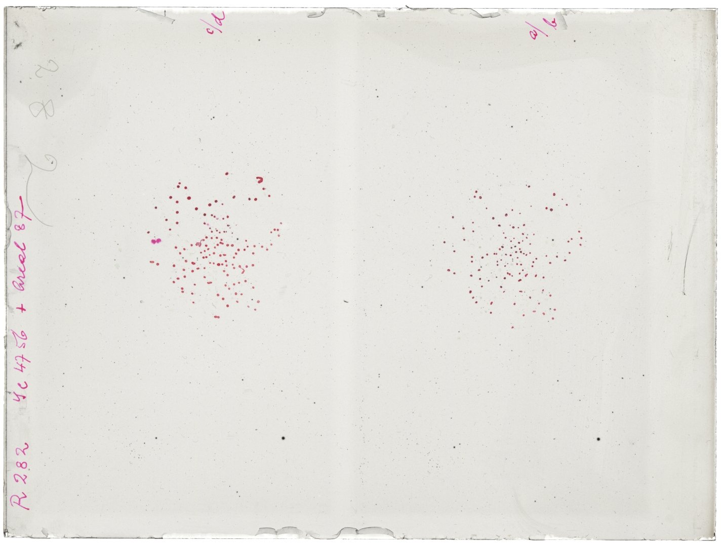Scan RK00282