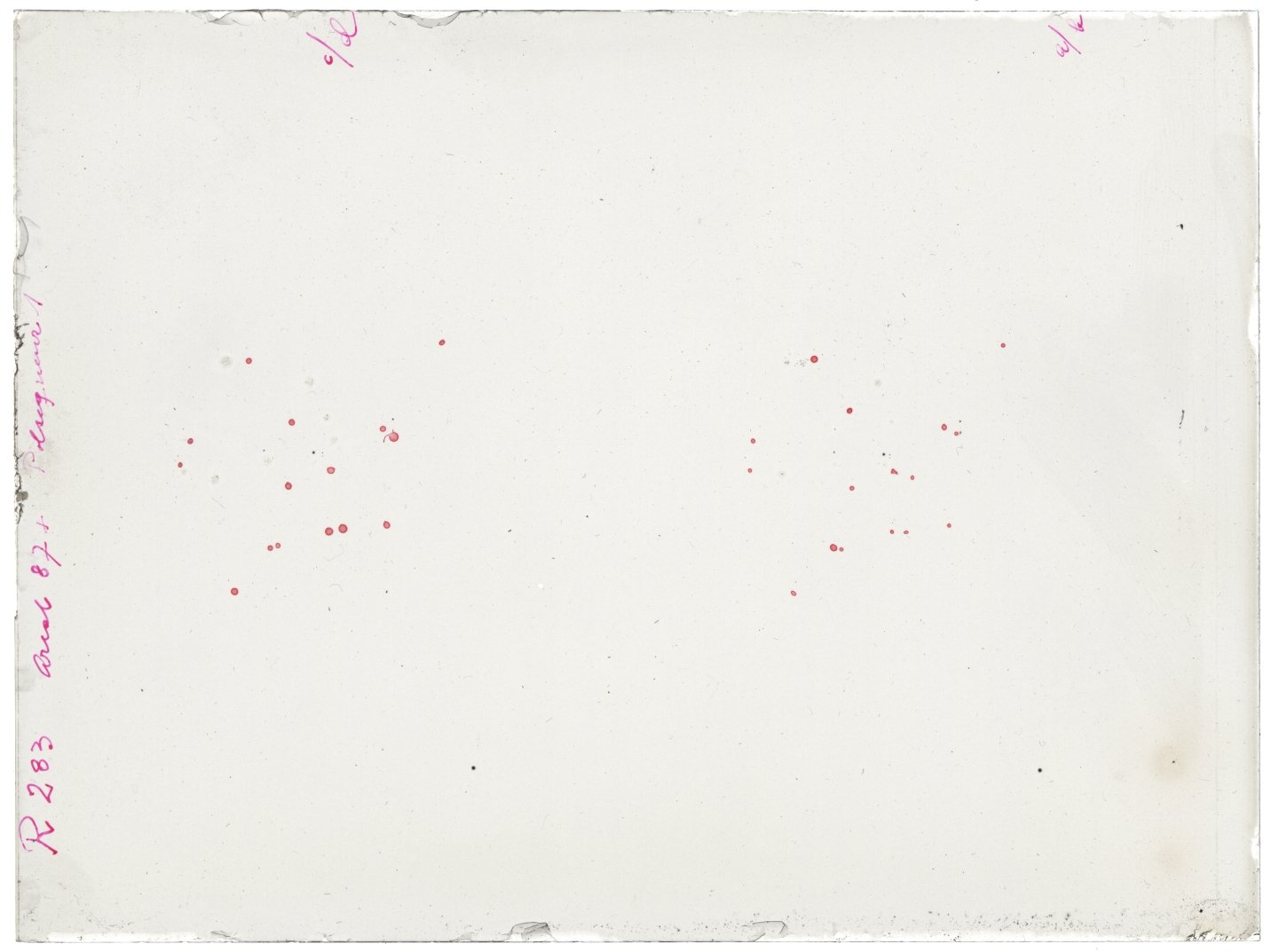 Scan RK00283
