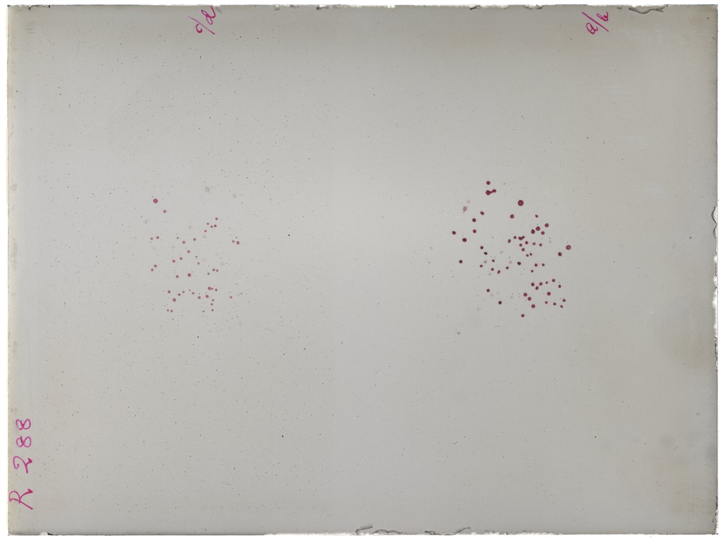 Scan RK00288