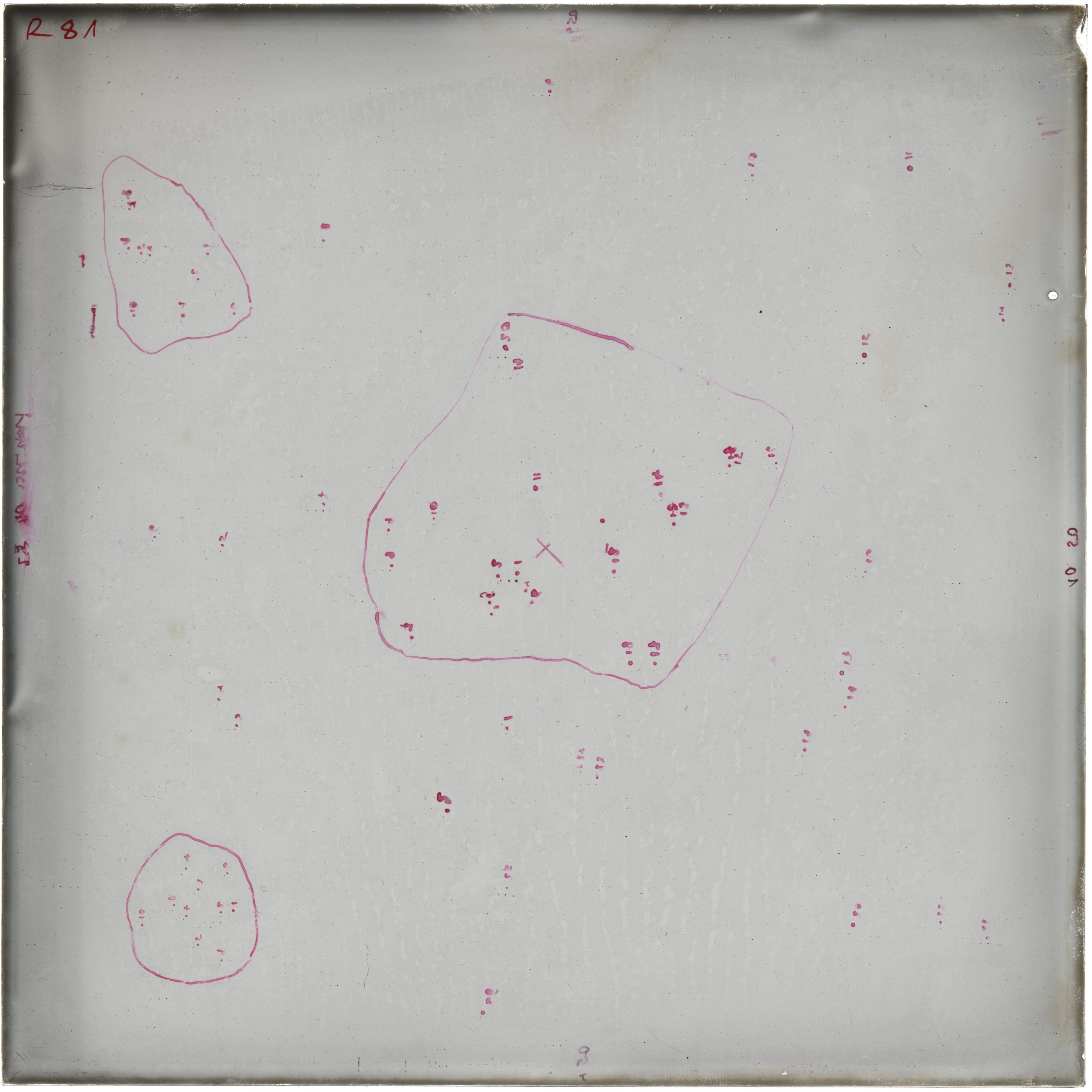 Scan RK00081