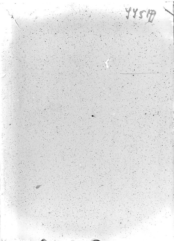 Scan SS00519