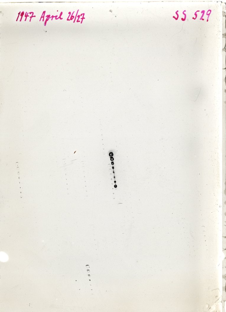 Scan SS00529