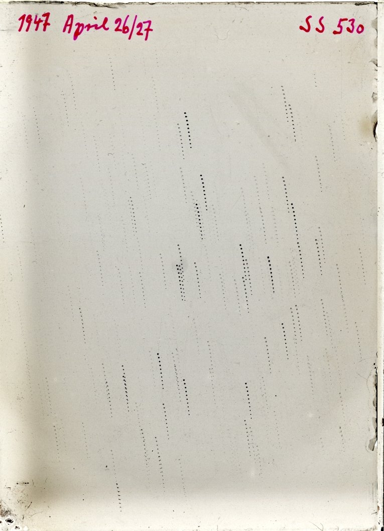 Scan SS00530