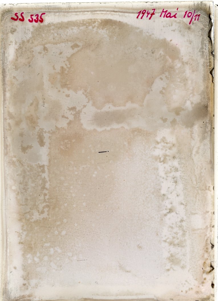 Scan SS00535