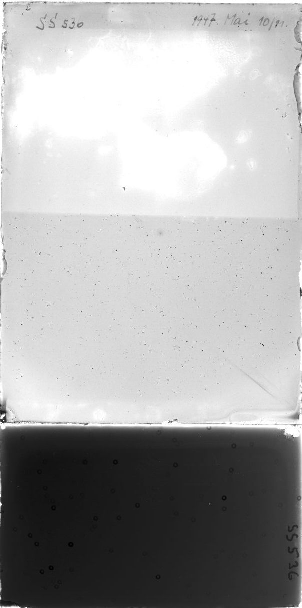 Scan SS00536
