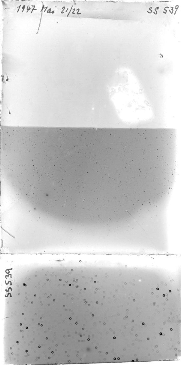 Scan SS00539