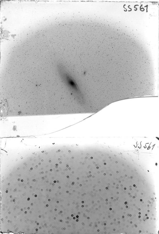 Scan SS00561
