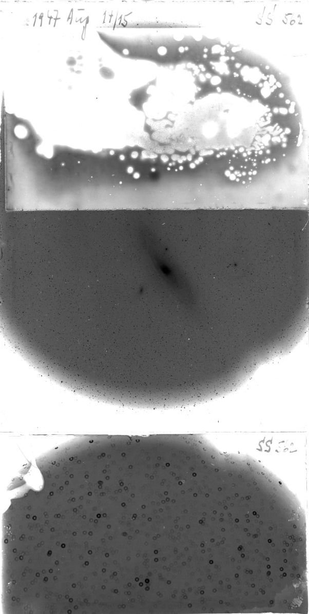 Scan SS00562
