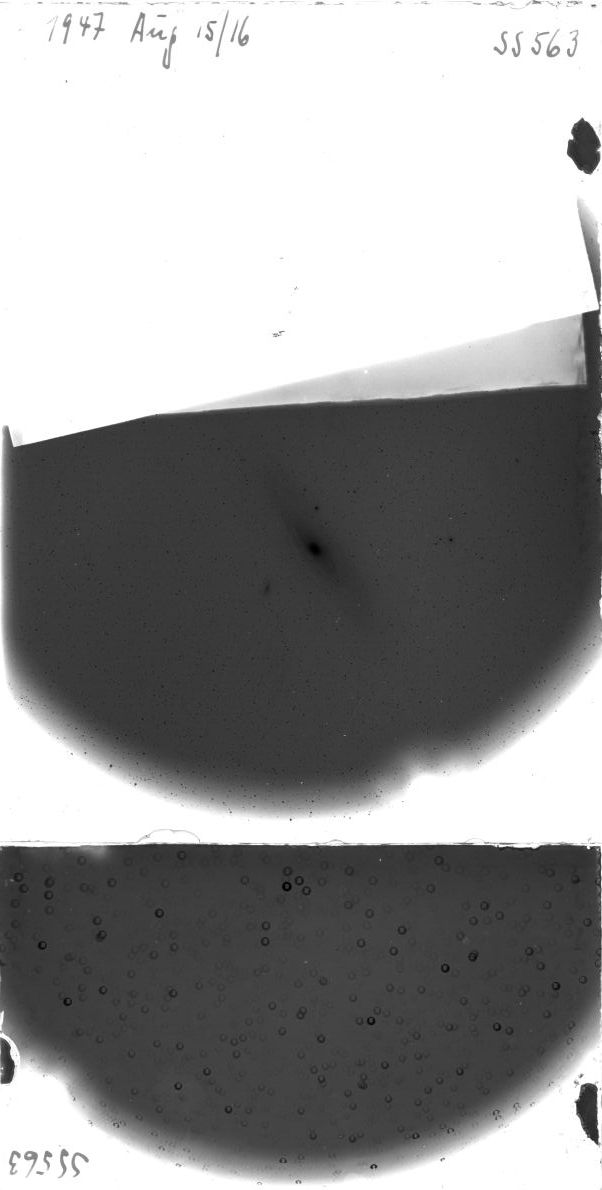 Scan SS00563