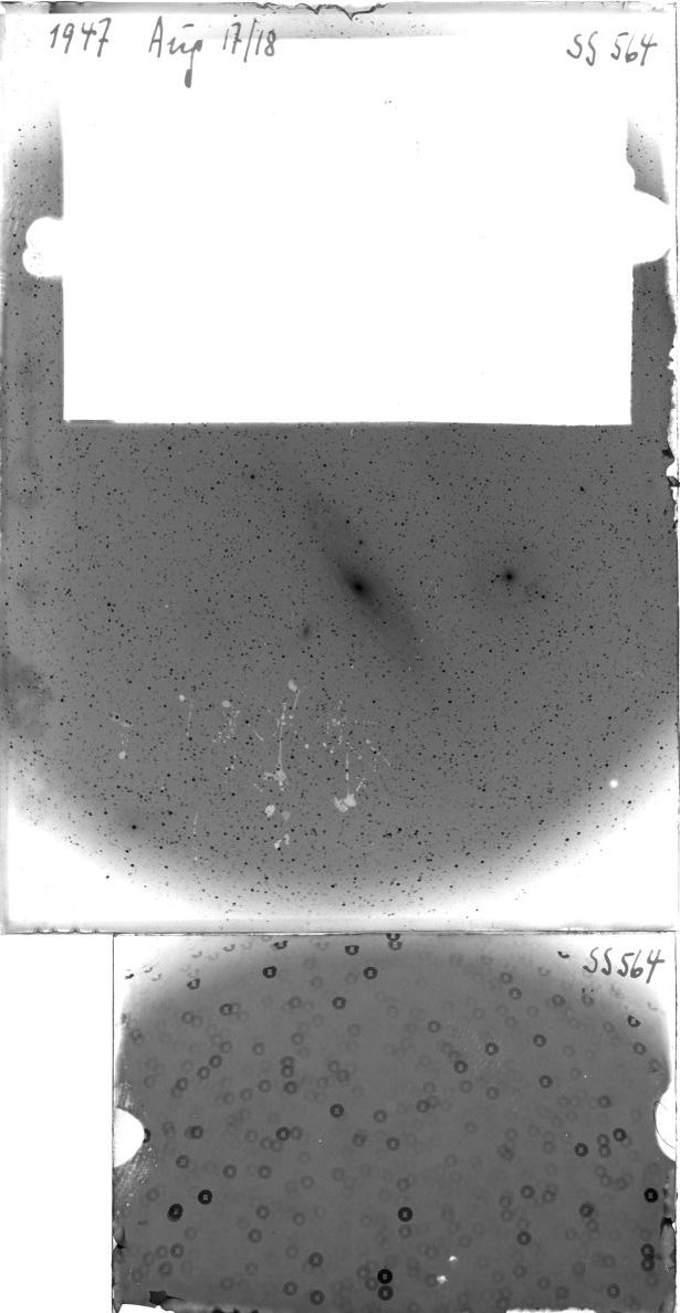 Scan SS00564