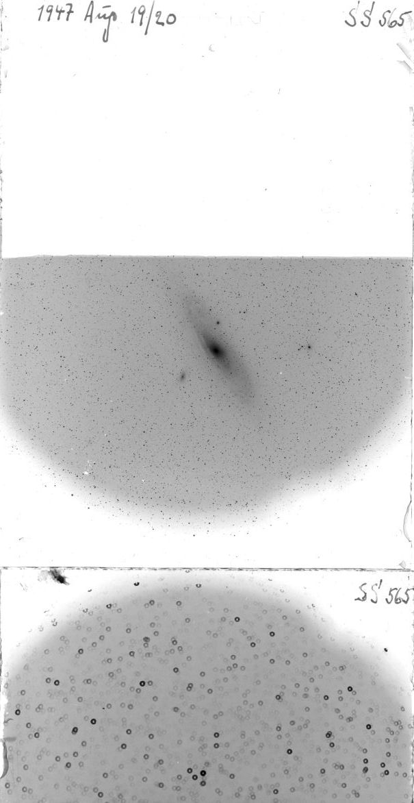 Scan SS00565