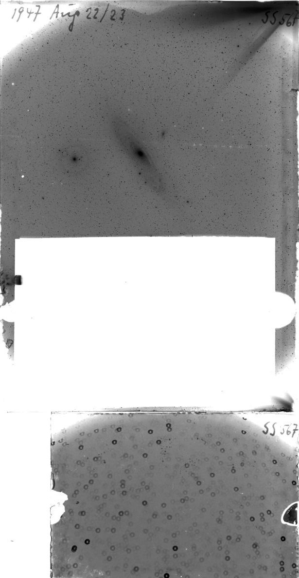 Scan SS00567