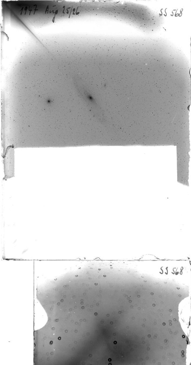 Scan SS00568